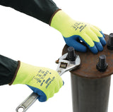 Ansell ActivArmr® 80-400 Kälteschutzhandschuhe Gr.9 gelb/blau EN 388, EN 511, EN 407