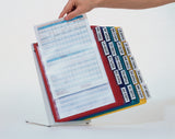 DURABLE Tischständer Stahlblech lichtgrau RAL 7035 mit 20 Sichttafeln DIN A4 und Profilrahmen