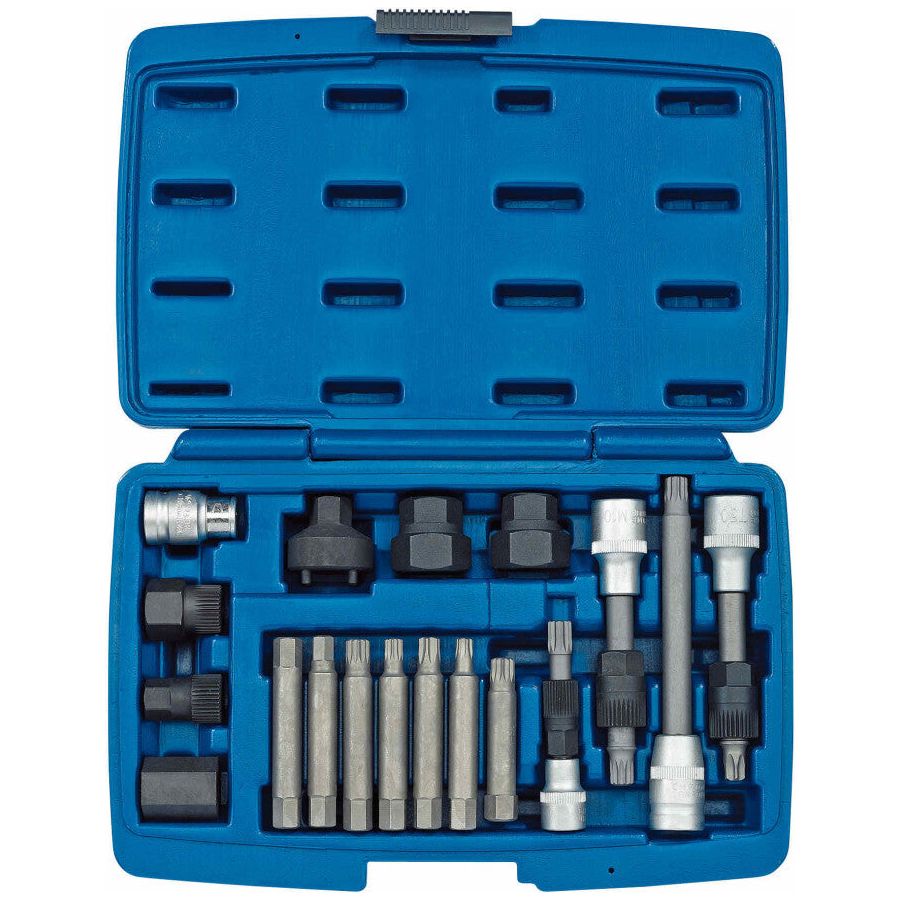 Draper Tools Demontagesatz für Lichtmaschinenriemenscheibe, 18 Stück D31921