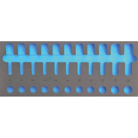 Deltach FOAM-Modul leer, für 124000 (1/2" Steckschlüsselsatz) 124905