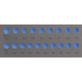 Deltach FOAM-Modul leer, für 127000 (1/2" Steckschlüsselsatz Keilnut, Rippe) 127905