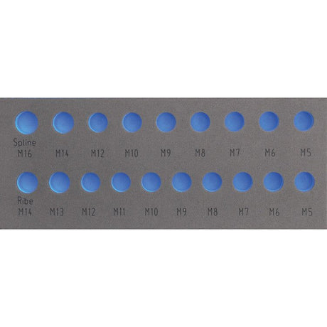 Deltach FOAM-Modul leer, für 127000 (1/2" Steckschlüsselsatz Keilnut, Rippe) 127905