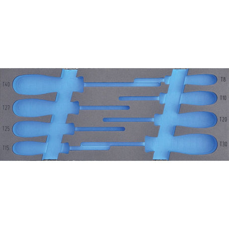 Deltach FOAM-Modul leer, tbv 313000 (Torx-Schraubendreher) 313905