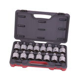 Seneca Bit Einsatz Satz Innenzechskant T-profil Spline Ribe 3/4" 15 Stück Profi - SE83103