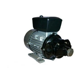 FUELWORKS Dieselpumpe 230V - 1100Watt, 120L/min Durchfluss, 2bar Druck - DP120V220 - Tools.de TP Profishop GmbH