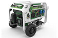 GENERGY Pro Natura 3000W Hybrid Dual Fuel Stromgenerator, Gas und Benzin Stromerzeuger, Stromerzeuger Gas - 3000W 230V E-Start - Tools.de TP Profishop GmbH